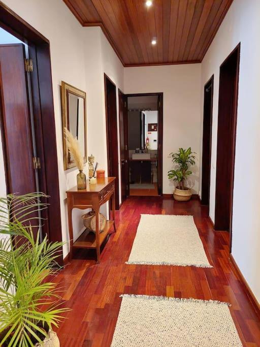 Charming Avenue Apartment Dystrykt Dystrykt Faro Zewnętrze zdjęcie