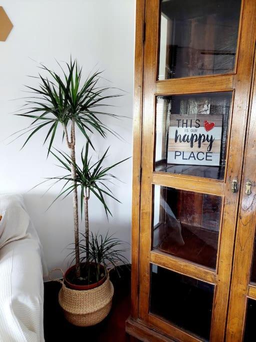 Charming Avenue Apartment Dystrykt Dystrykt Faro Zewnętrze zdjęcie